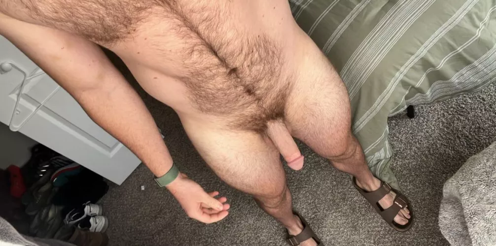 Bush + Birkenstocks by RightMoney957