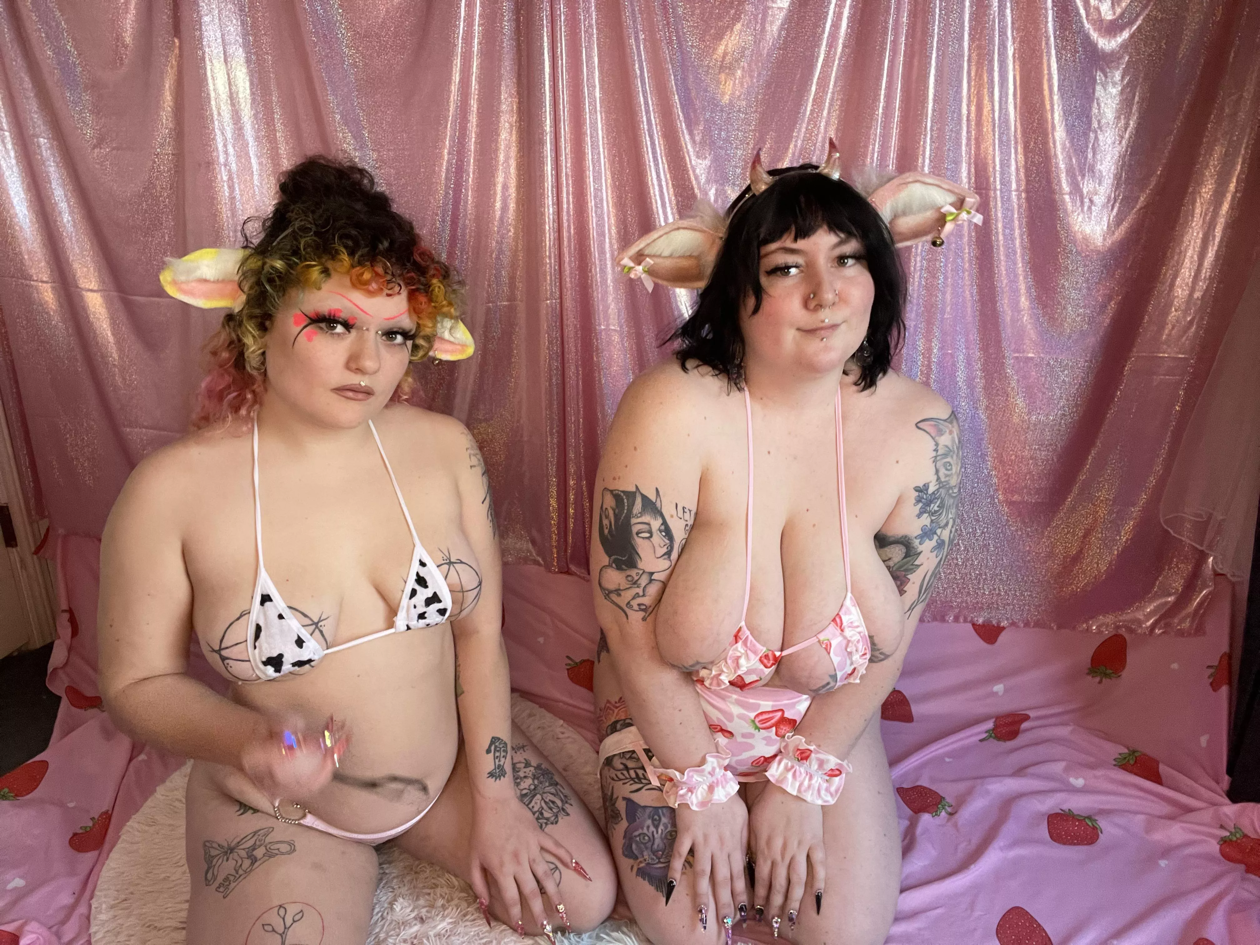 Do you have room in your stable for two more cows? posted by DemonSarena