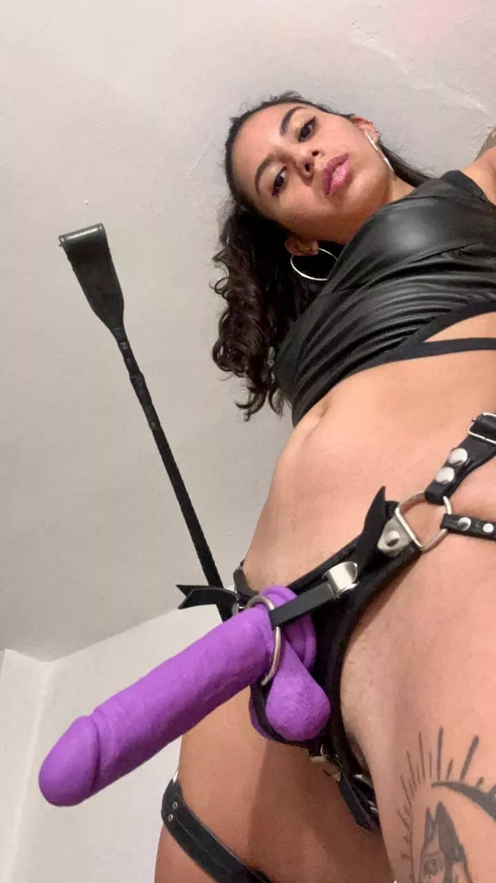 Either fuck it, suck it or get punished posted by Hook-Rotating787