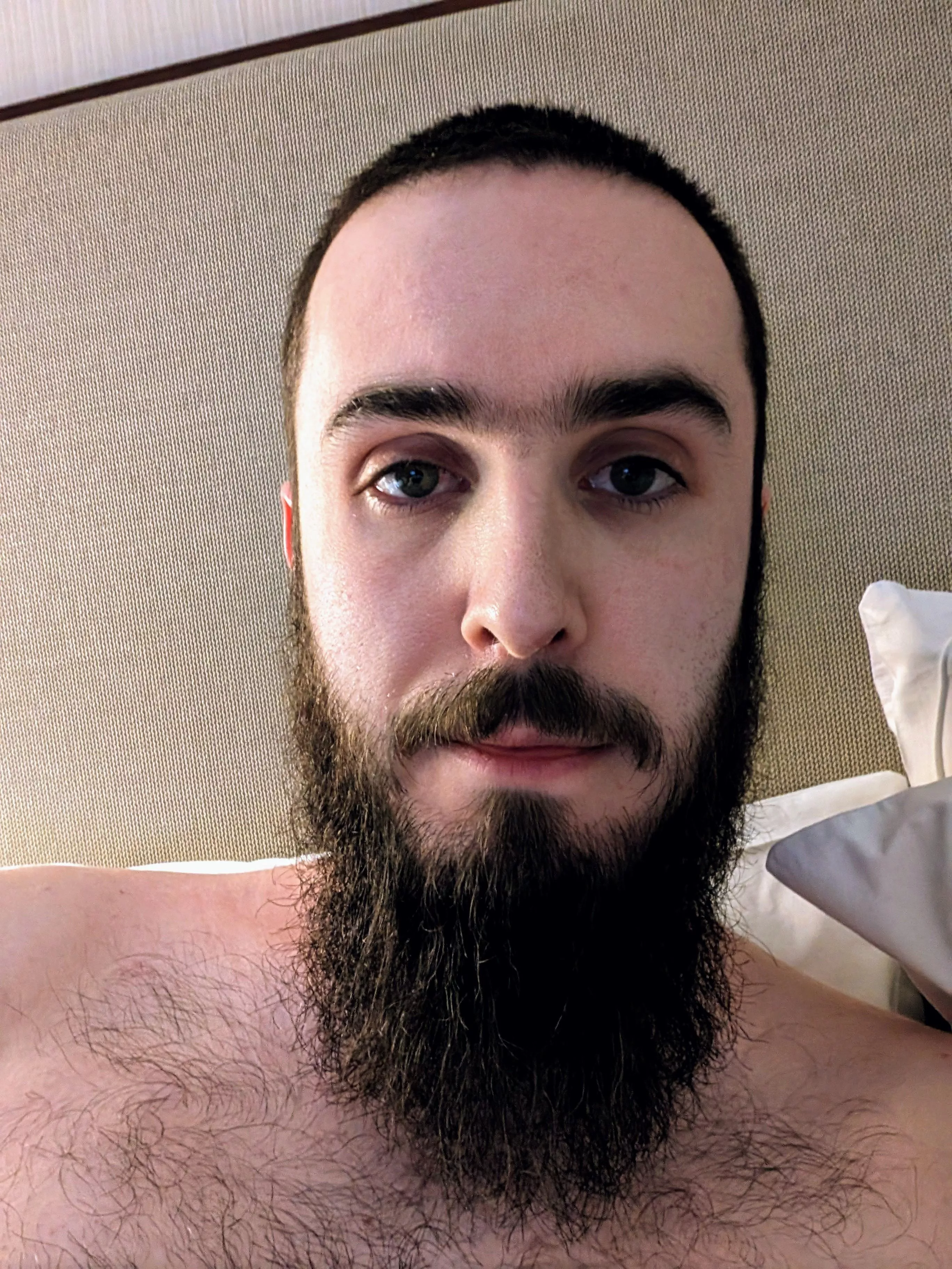 Good morning handsome gents posted by beardedpollster