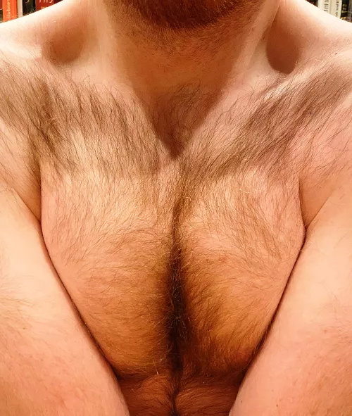 How do you like my Hairy Cleavage? by GymGentleman