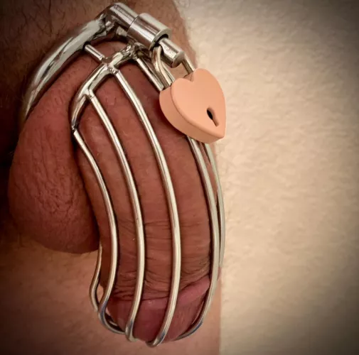 I love being locked! Feels weird not having my cock caged. Yes ma’am, No Ma’am! 🥰 by 420MountainSurfer