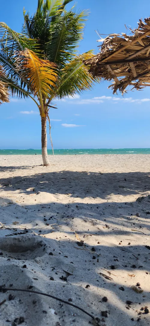 Jamaican beach by ma_kun