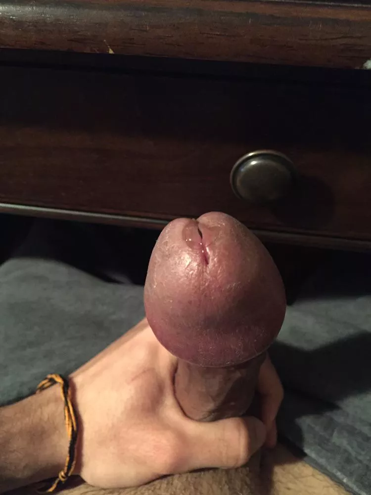 Just keeps leaking posted by peanutbutterpidgeon