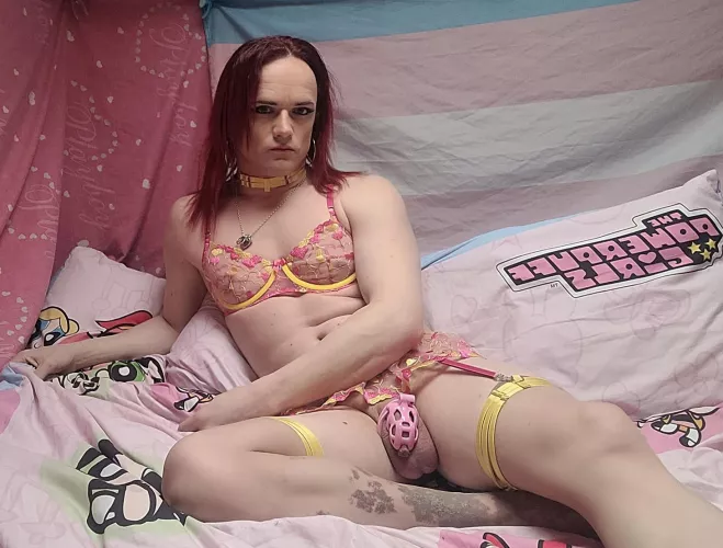 Just need another girlie to cuddle up with by pansy_5