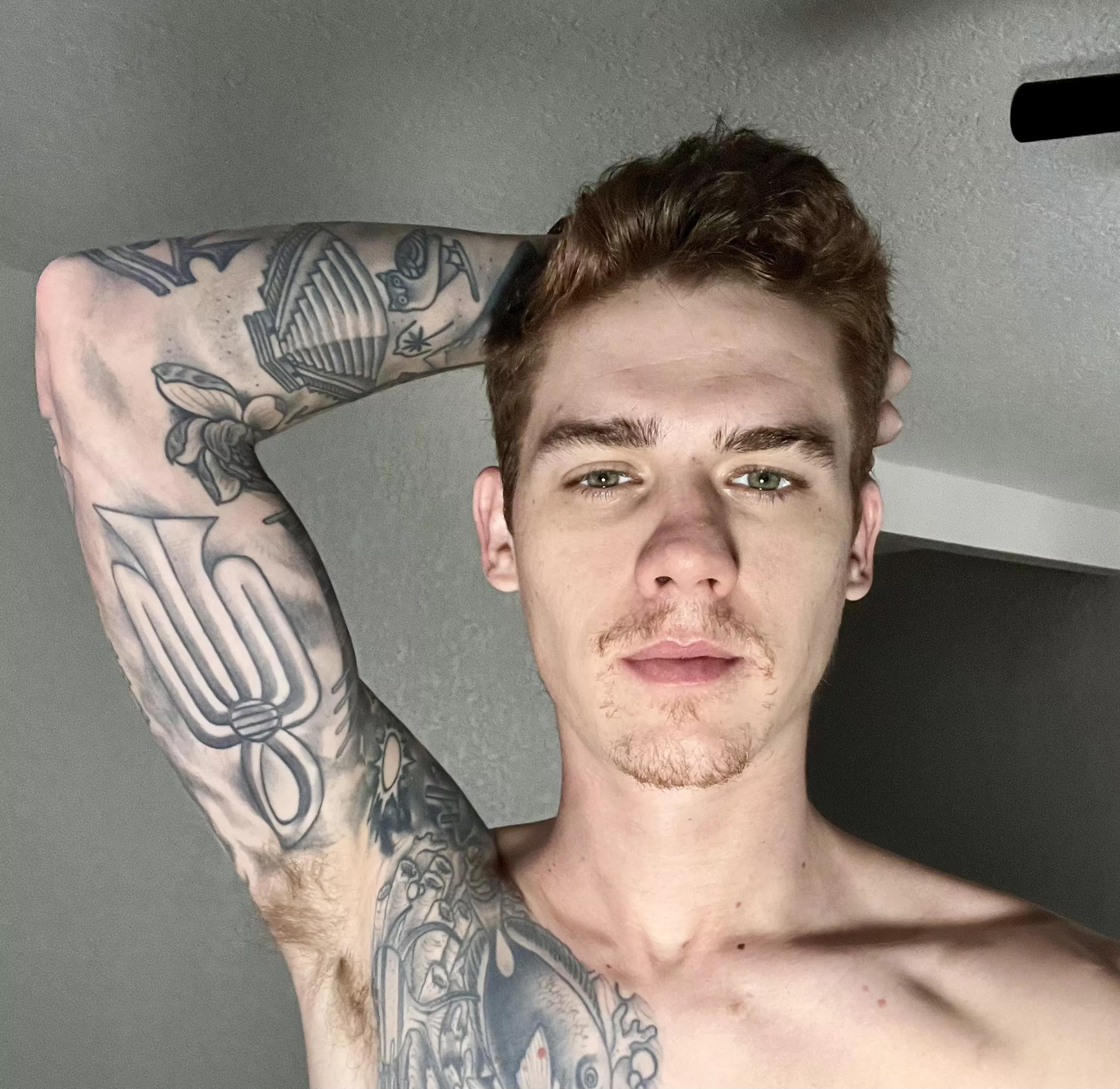 Just ur average solo male friend posted by Fin_wixx