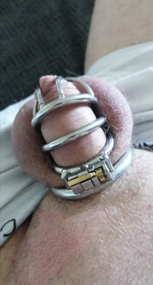 Locked and horny by File_Physical