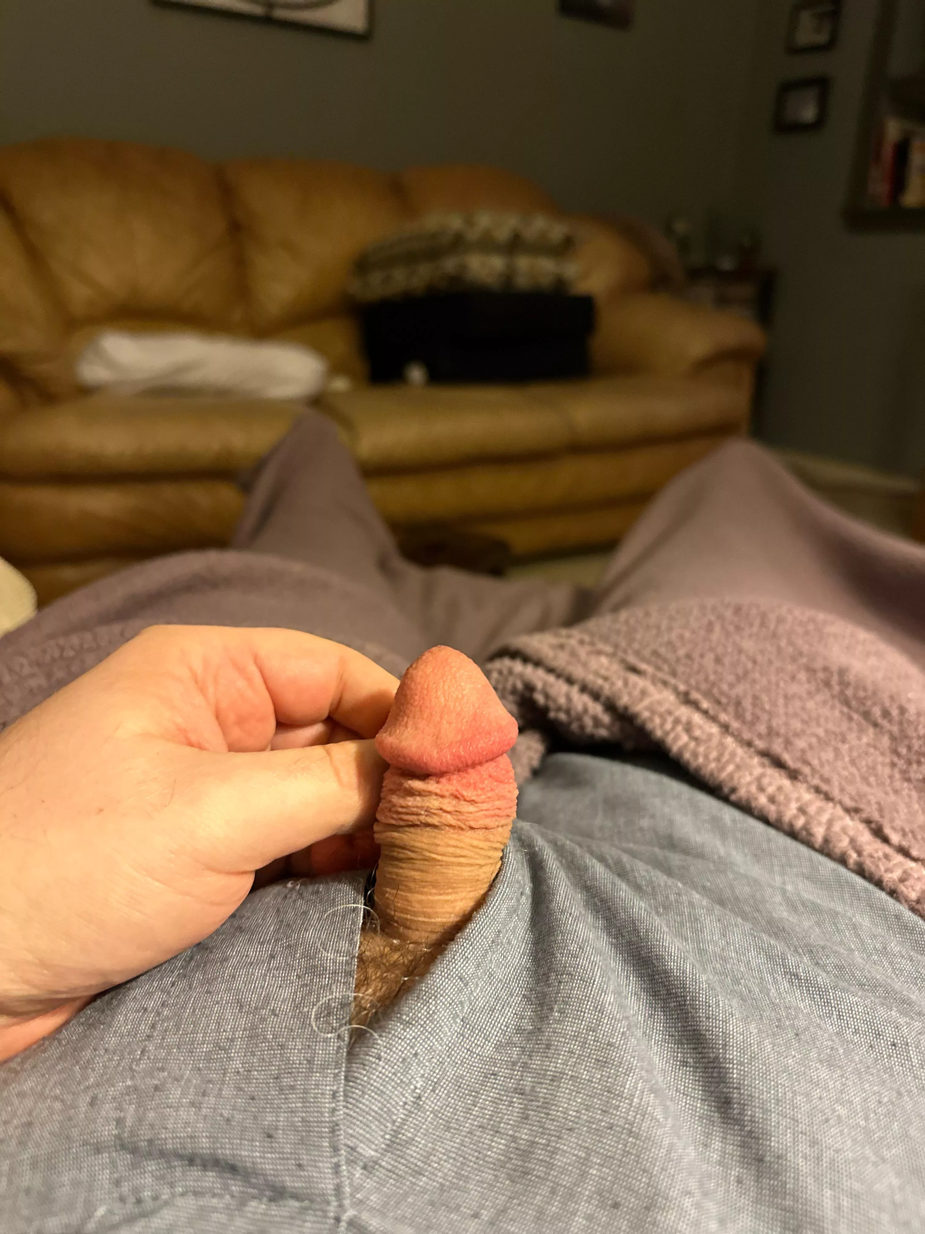 No pre? posted by KnowAGuy29464