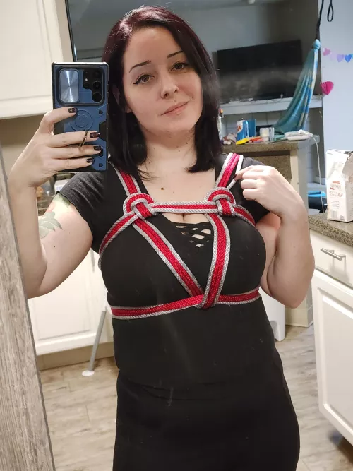 Red and silver chest harness by Goth-Goddess-Thea