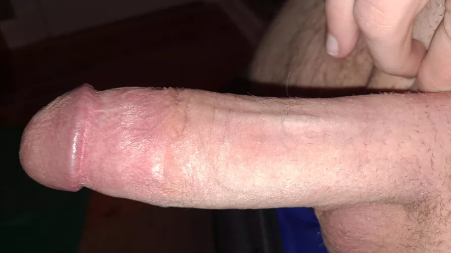 Show me how hungry your ass is for this dick~ Dms open by Ok-Enthusiasm9139