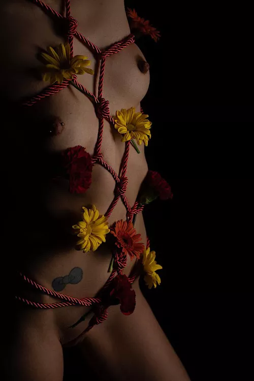 Some flowers for V Day by Dark_Paradox