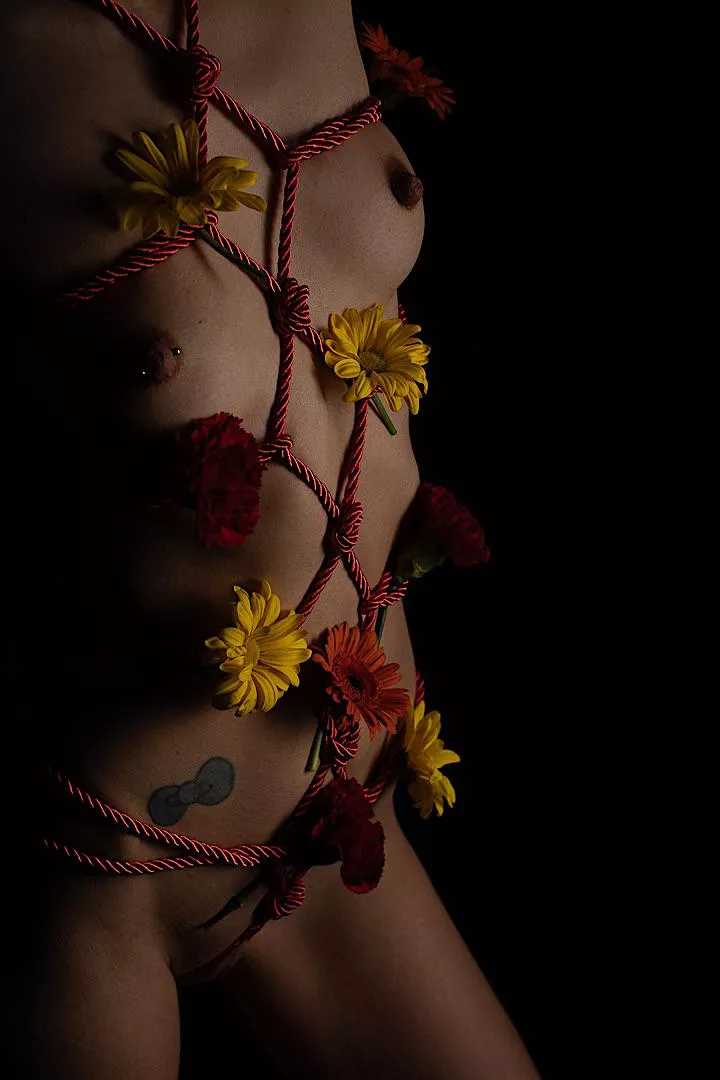 Some flowers for V Day posted by Dark_Paradox