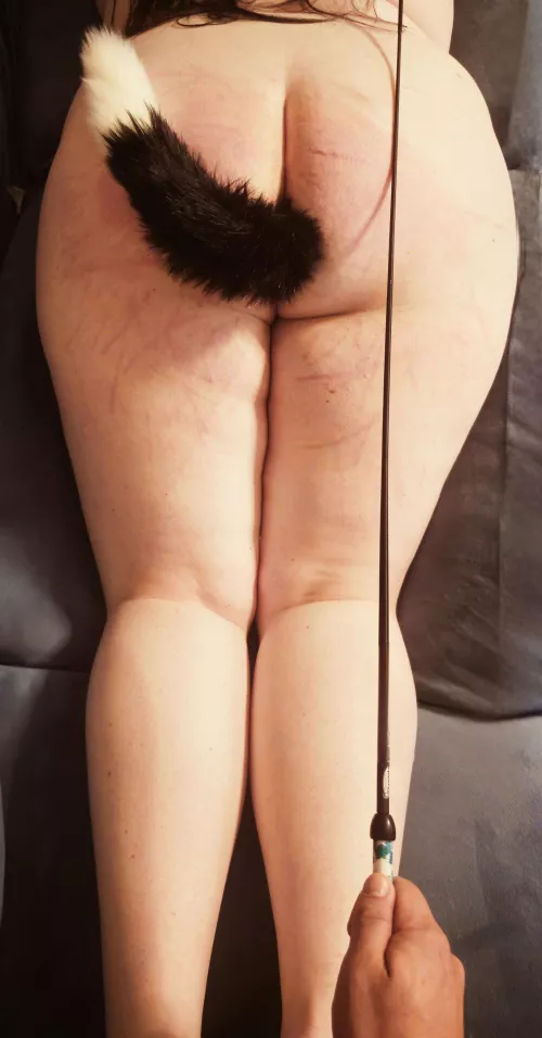 We had a fun session tonight ❤️ (MF) by CapivaraCouple