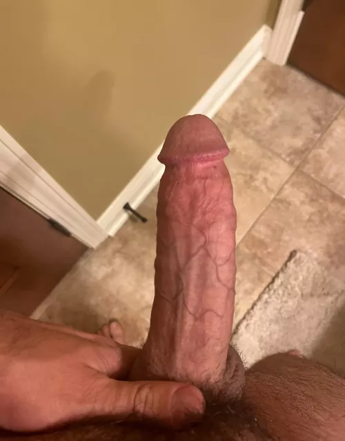 What’s your ideal Valentine’s Day tradition? by kmulhol5