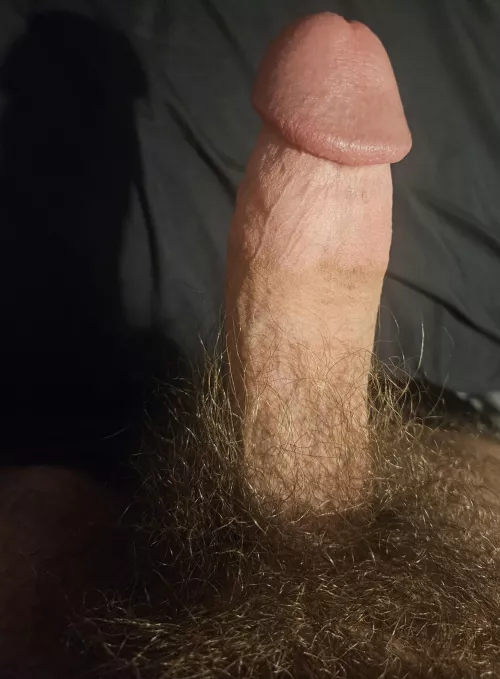 Wish your nose was stuffed in my bush by FutureBearInTraining