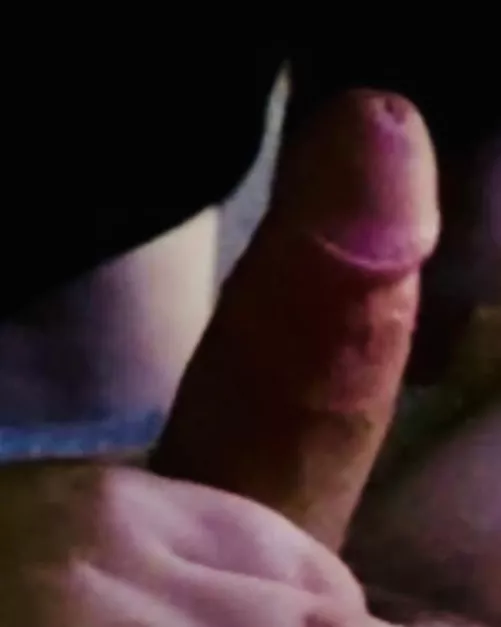 30M Latino Bull by Electronic_Cricket33