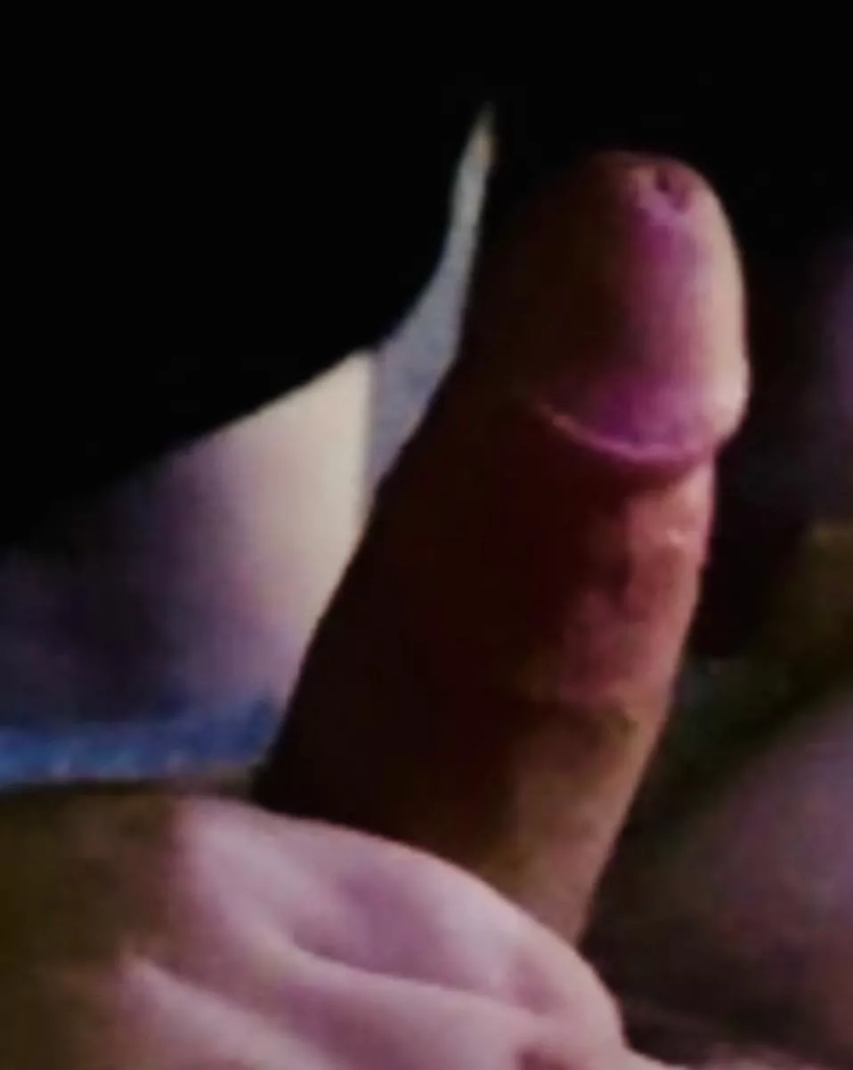 30M Latino Bull posted by Electronic_Cricket33