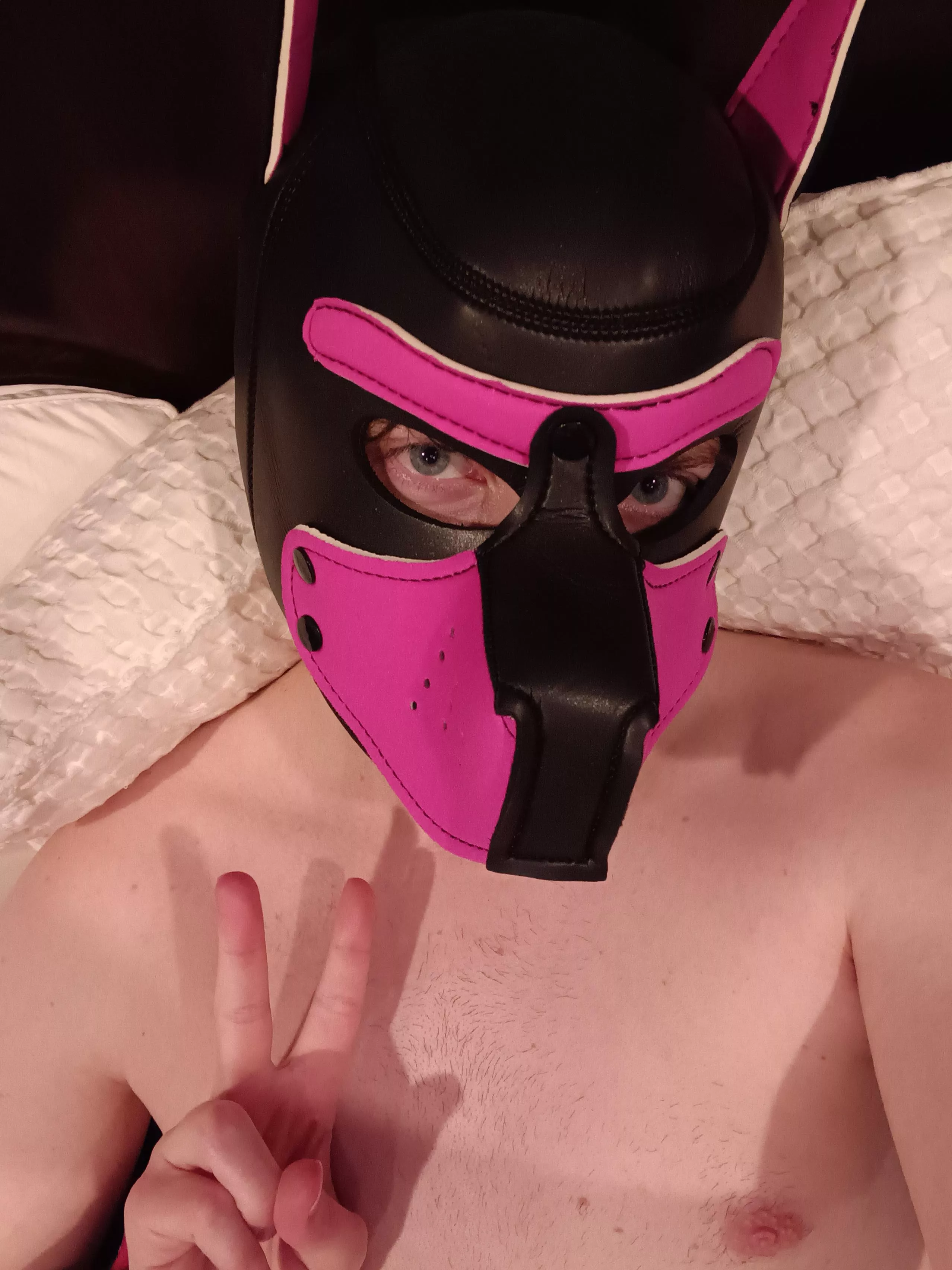 Always looking for more friendos 👉👈 posted by slu11y4abone