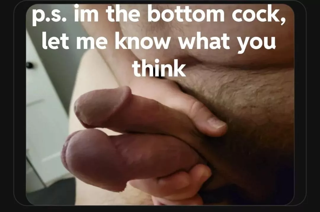 Anyone else love this? posted by jackvegas