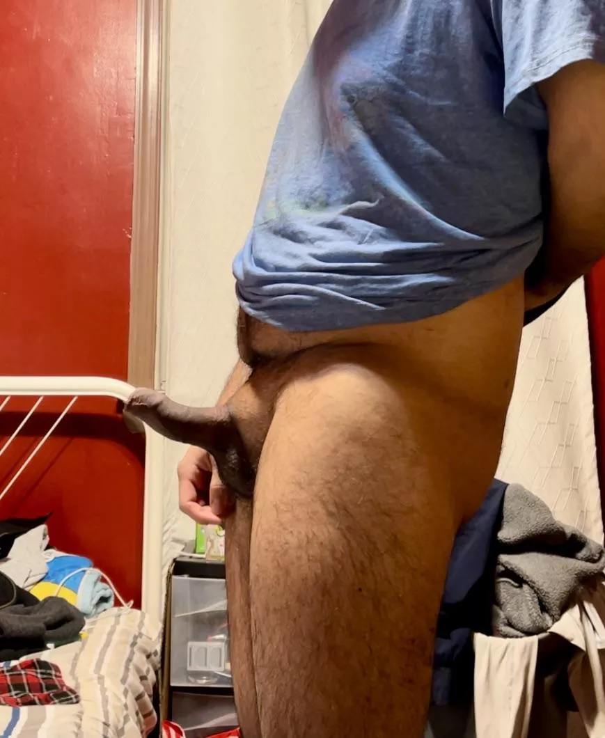 First time here posted by minitacobite