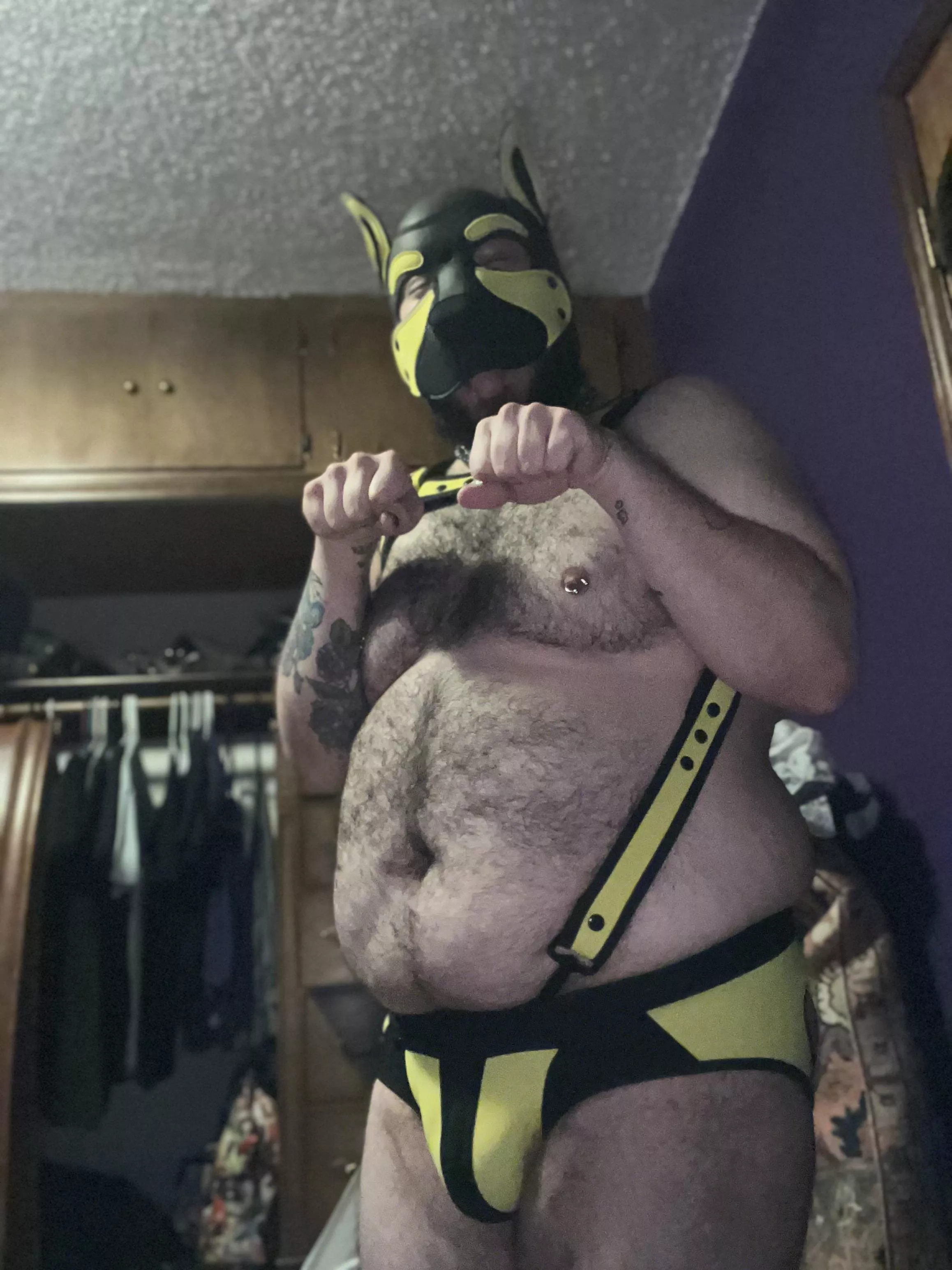 Happy Friday, fellow doggos! posted by Zealousideal-Week671