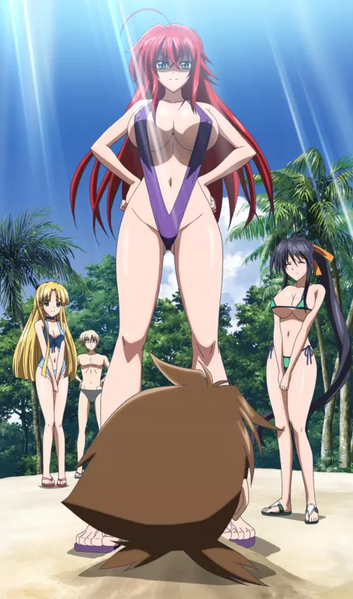 [High School DxD] Best girl wearing the best swimsuit of all time by BurnRedditDownDown