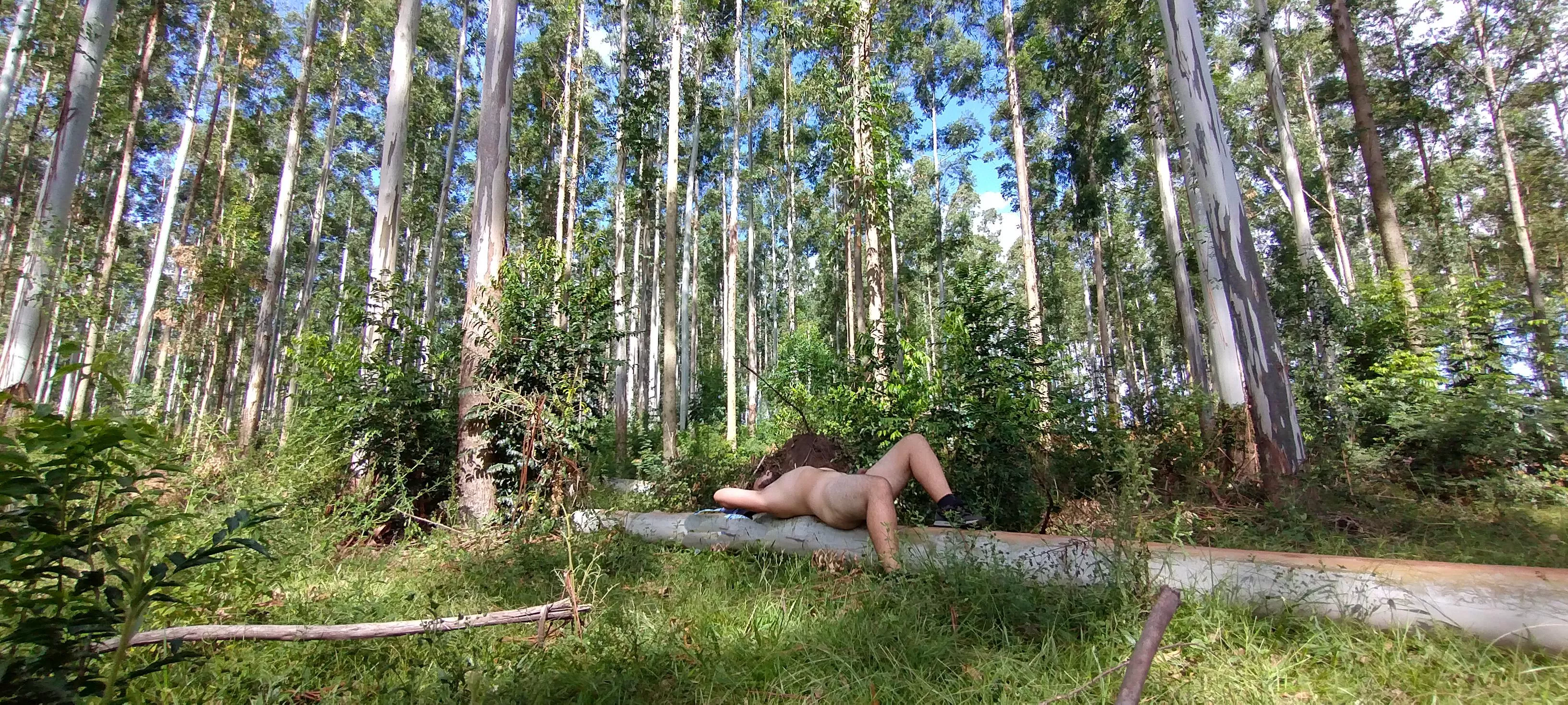 I went to spend the day at the workplace of some lumberjack friends and decided to take some time for myself. posted by Monopilo