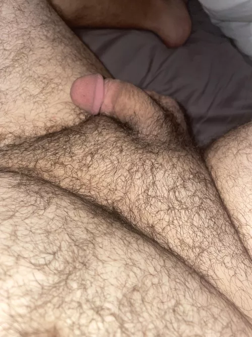 It needs some attention by Br1584