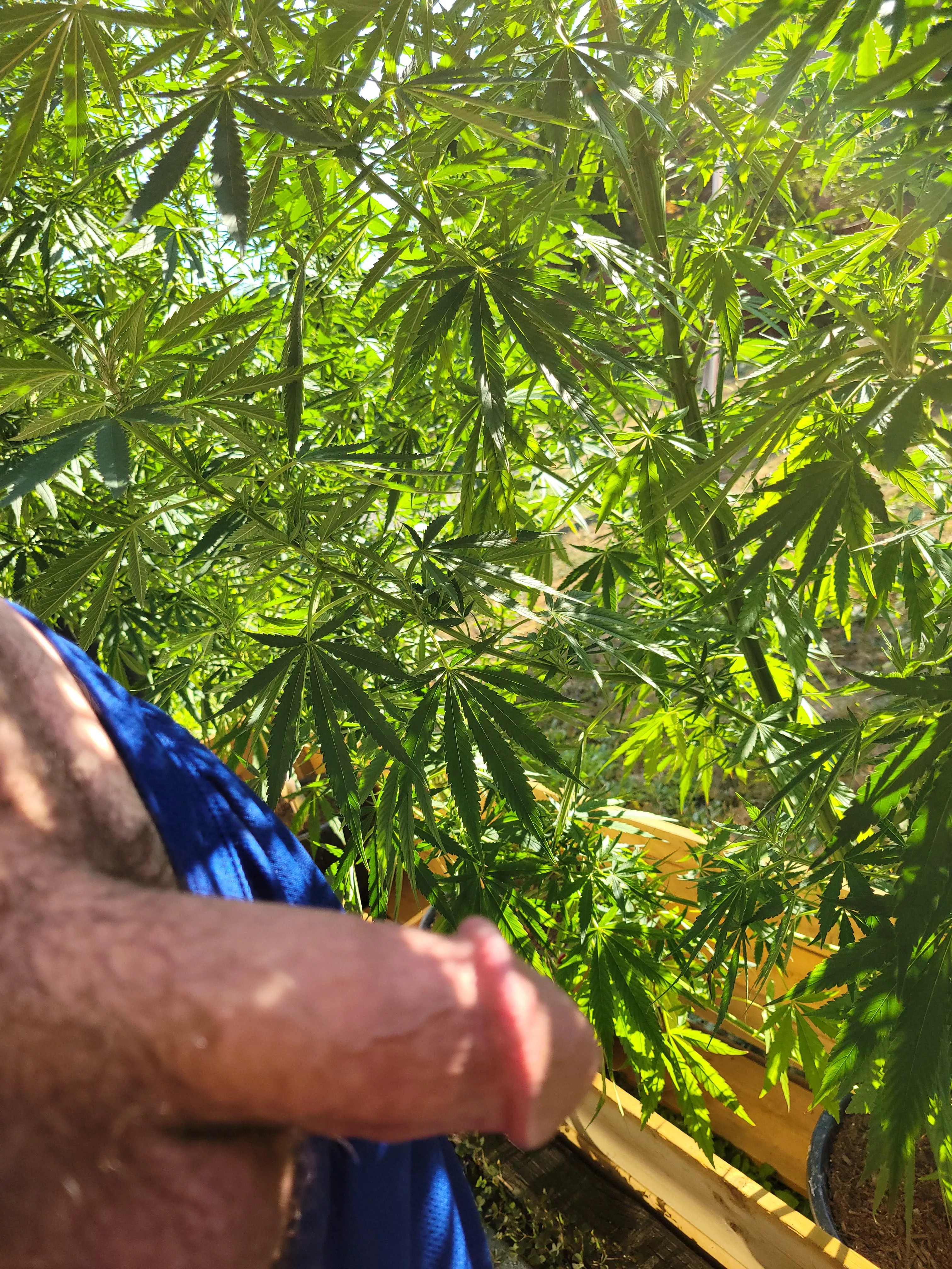 (M) Wanna smoke and suck posted by JunketDistinct6728