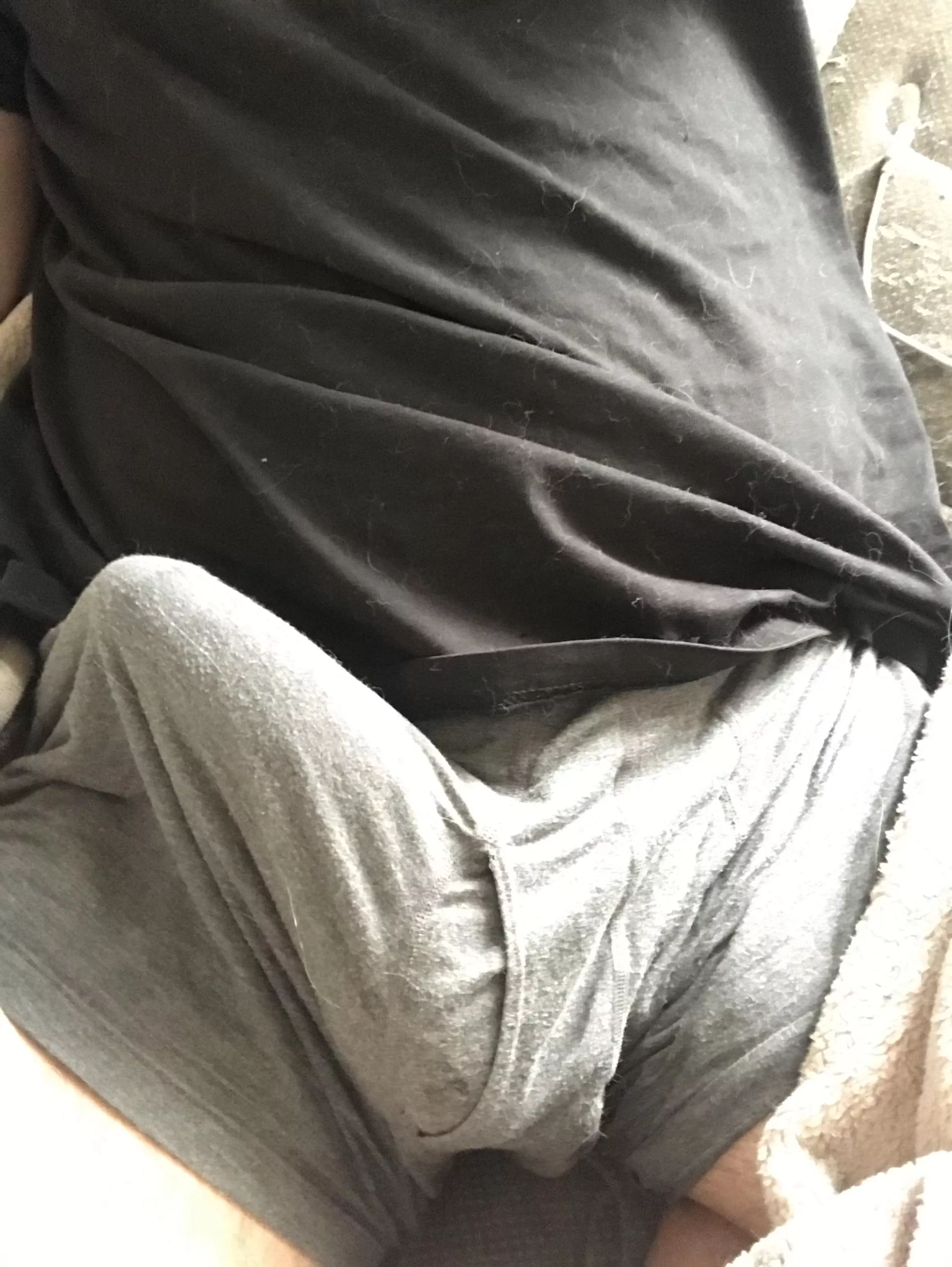 Morning wood posted by gay1011