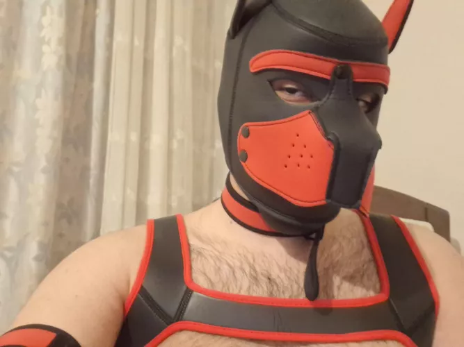 New here, pls dm me by ankh_79