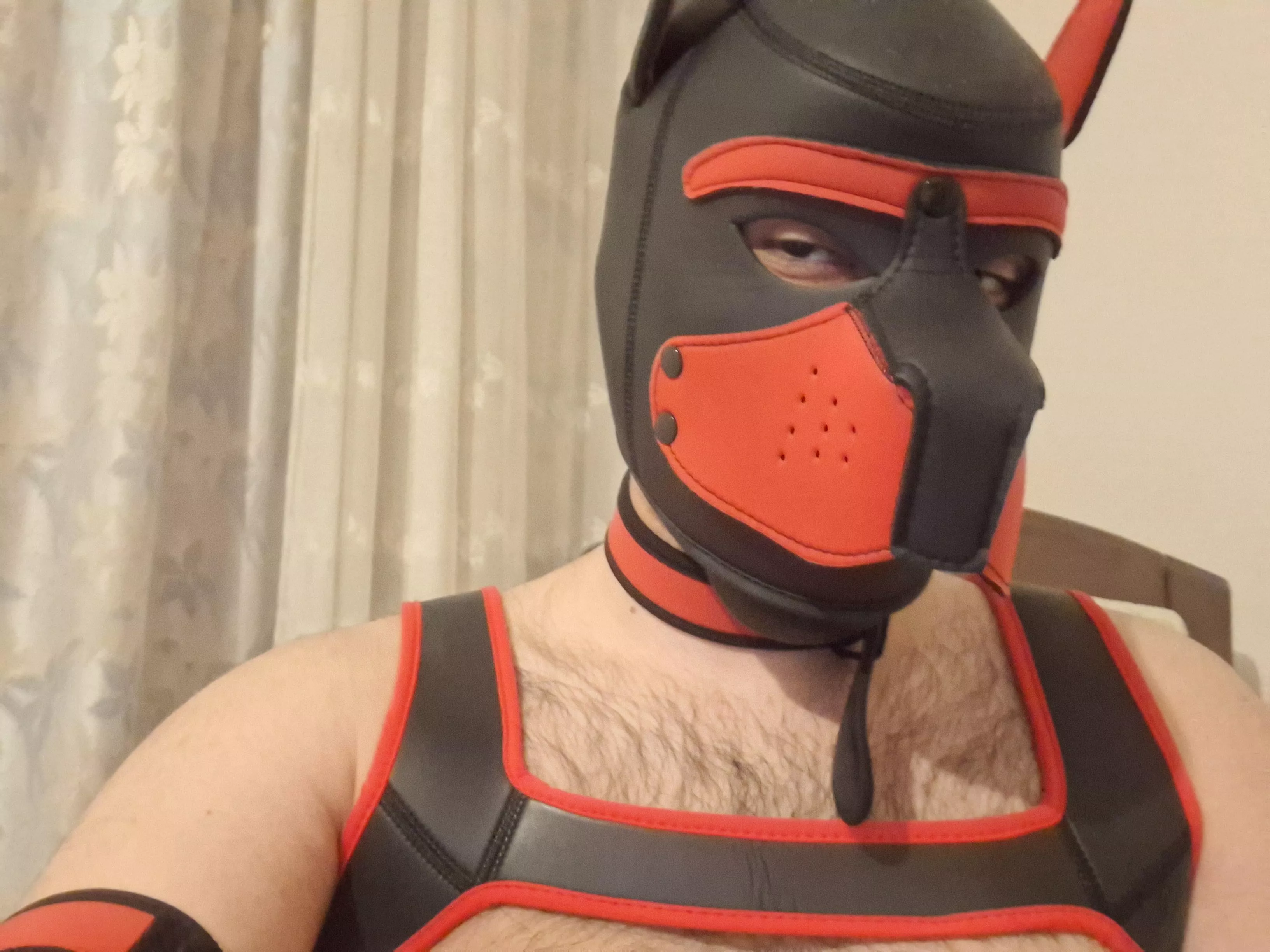 New here, pls dm me posted by ankh_79