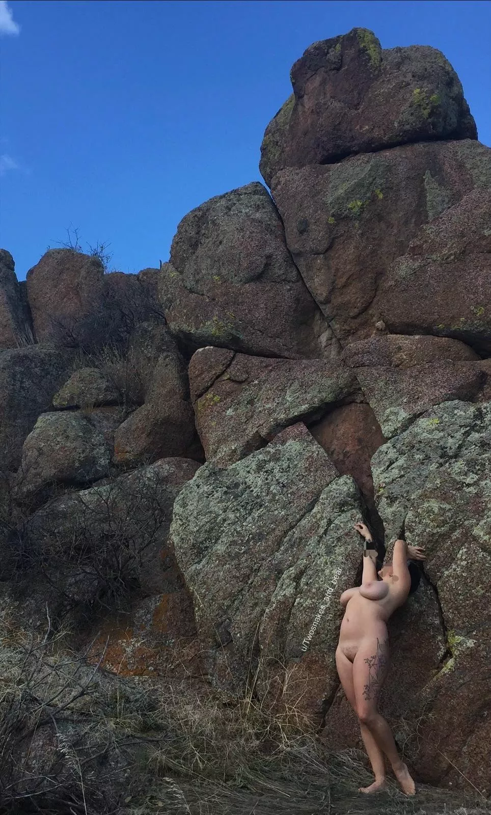 Out exploring posted by Twosnakes_and_bear