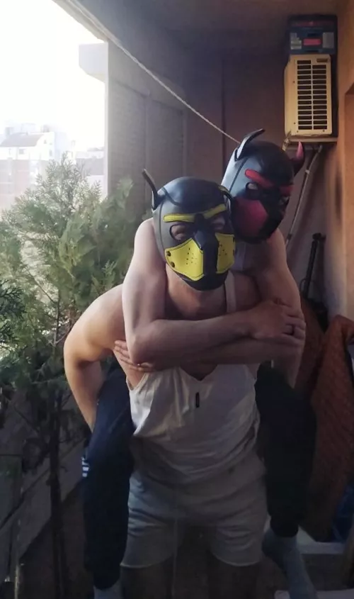 Piggyback? How about doggyback? by LupinusThePup