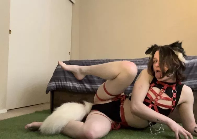 Puppy needs to be bred posted by ForsakenL