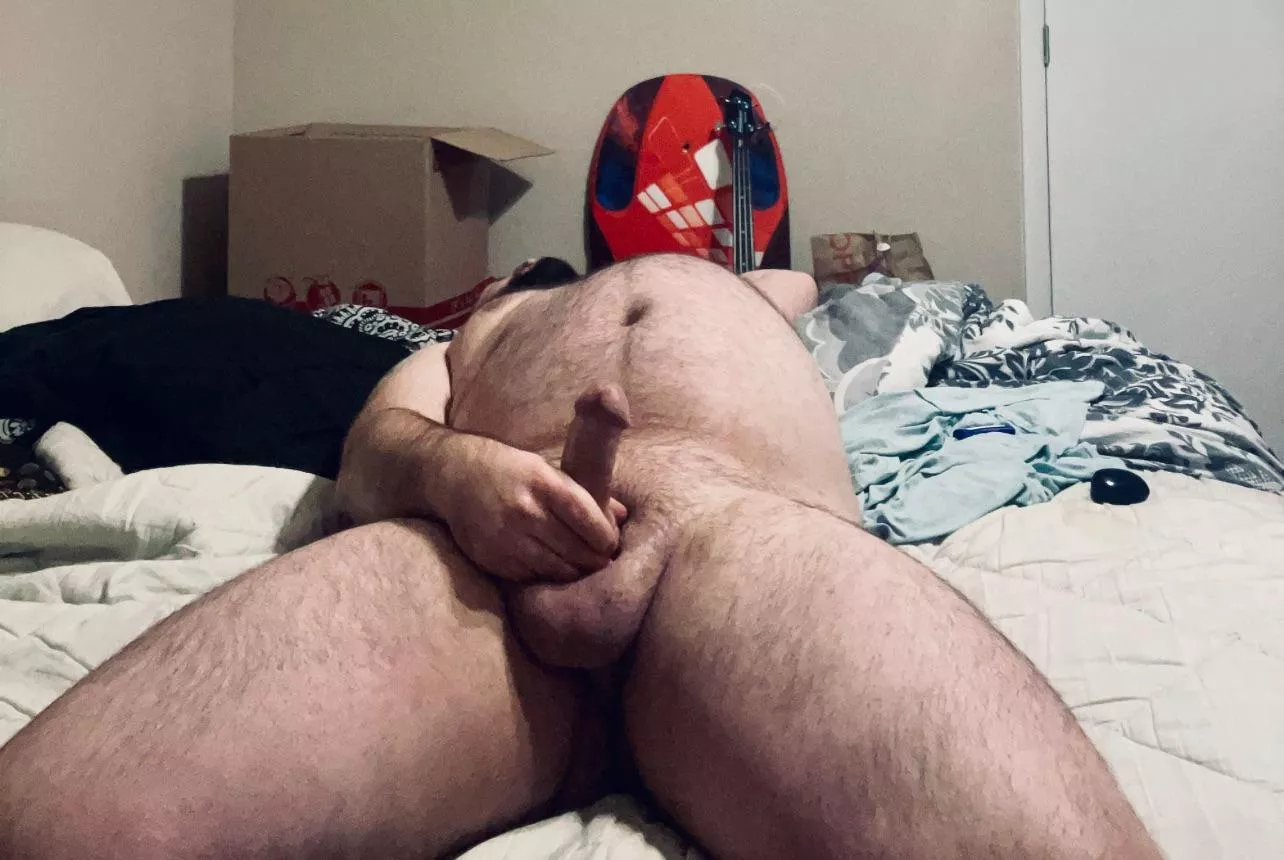 Ride or Suck? posted by nohrnyonmain2