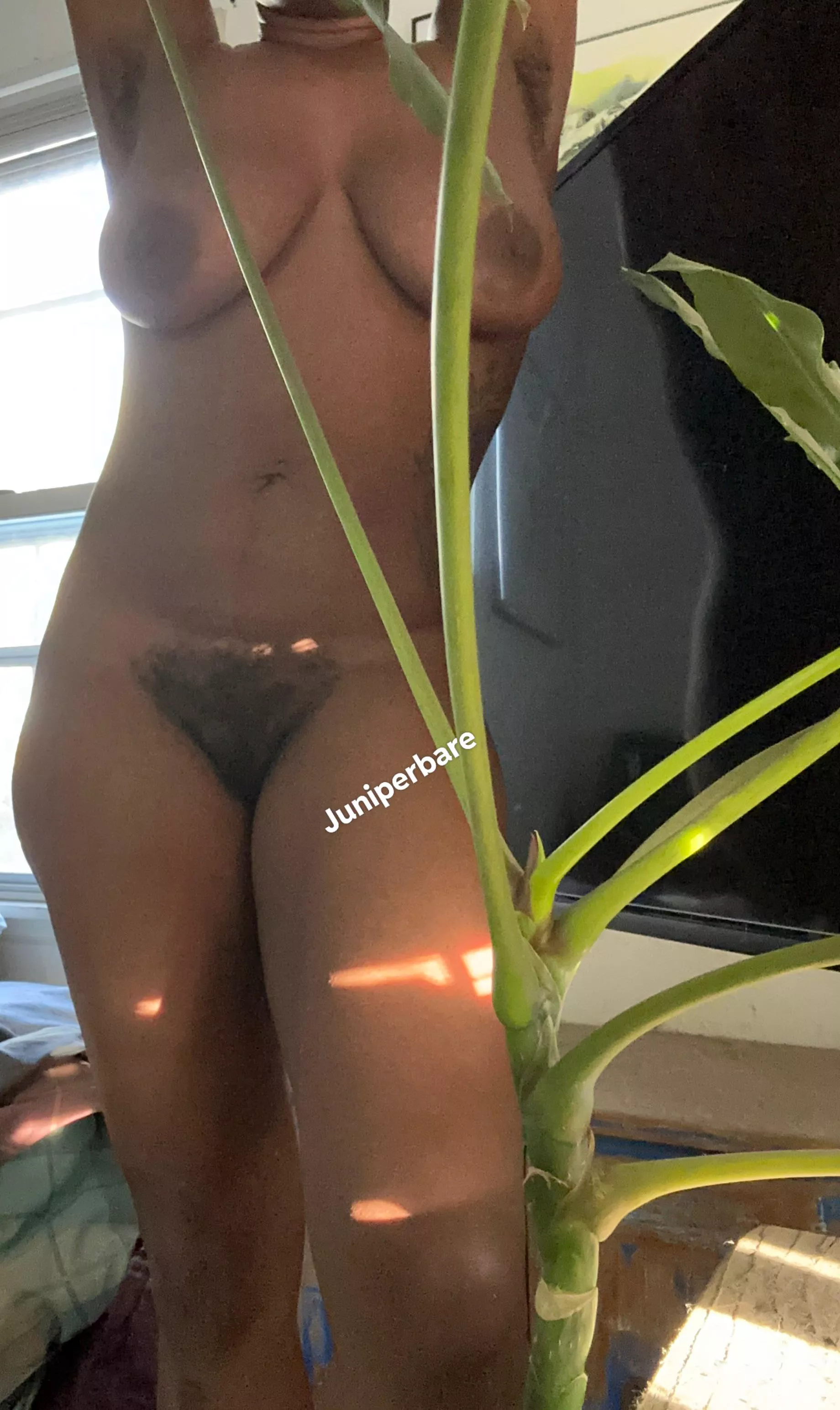 Rise and shine posted by juniperbare