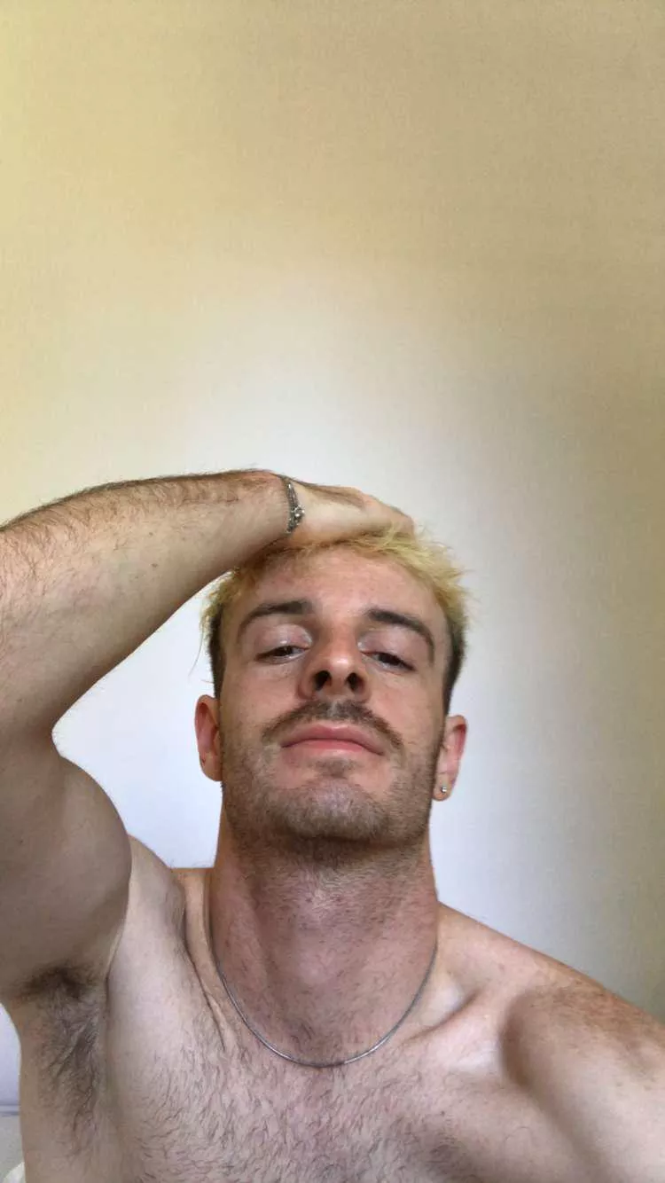 Should I go back to blond?  posted by Horny-24-7