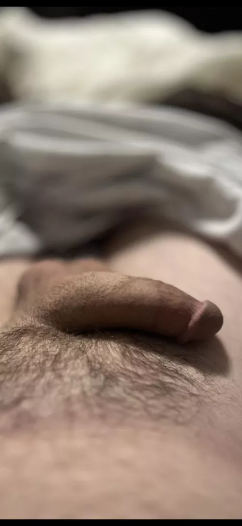 Soft focus softie… by Hadj311