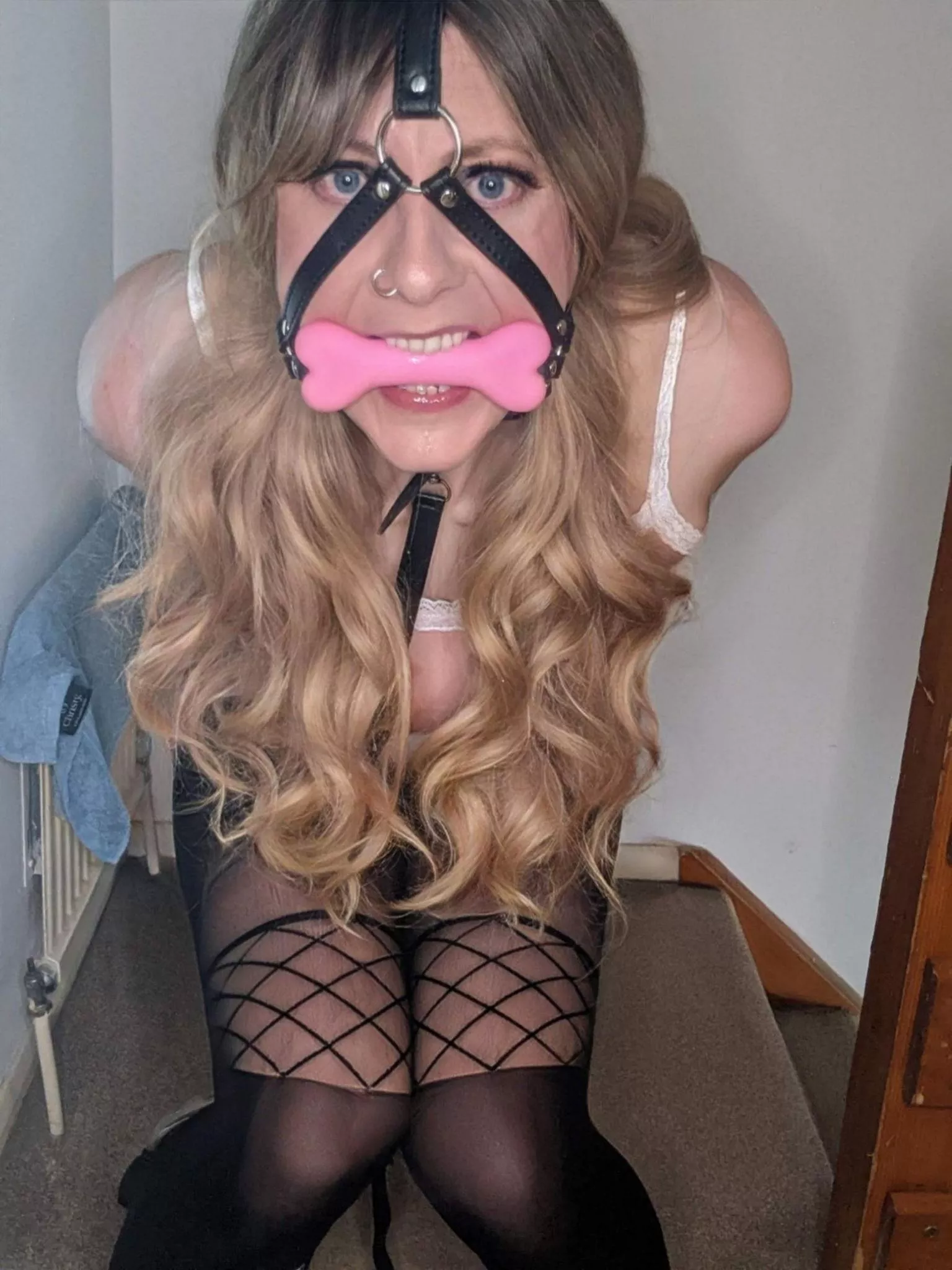 The journey to pleasure is never easy, but the destination is always worth it. (f) posted by PonyCD_