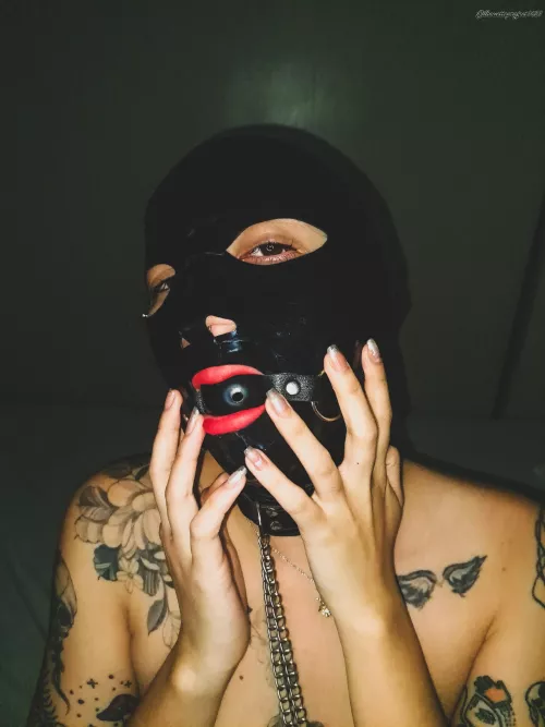 Tonight's entertainment 🥂 by Silhouette_Project