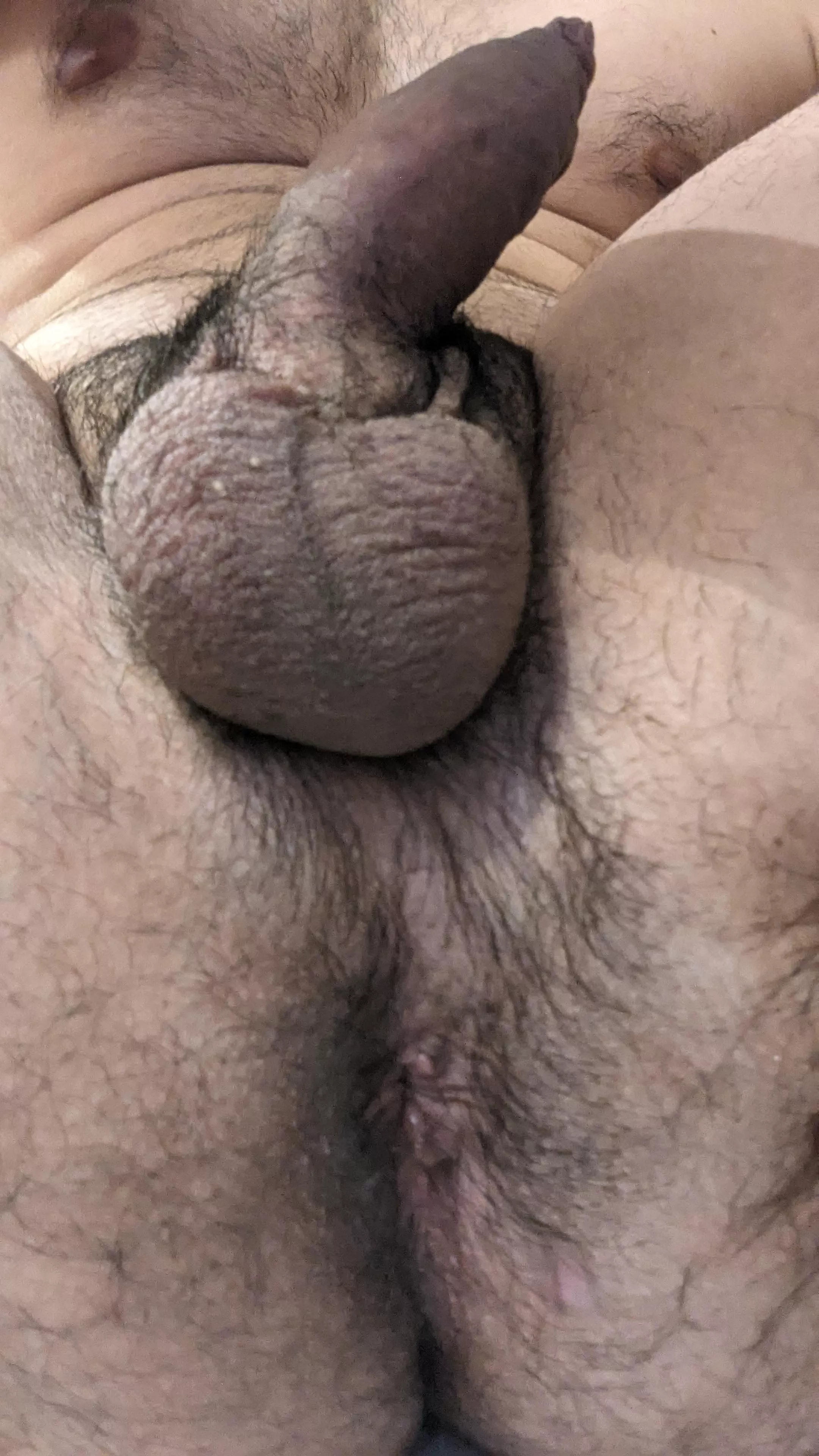 Took a lot of courage to take this pic, hope someone likes it🙈 (24) posted by Prize-Ostrich679