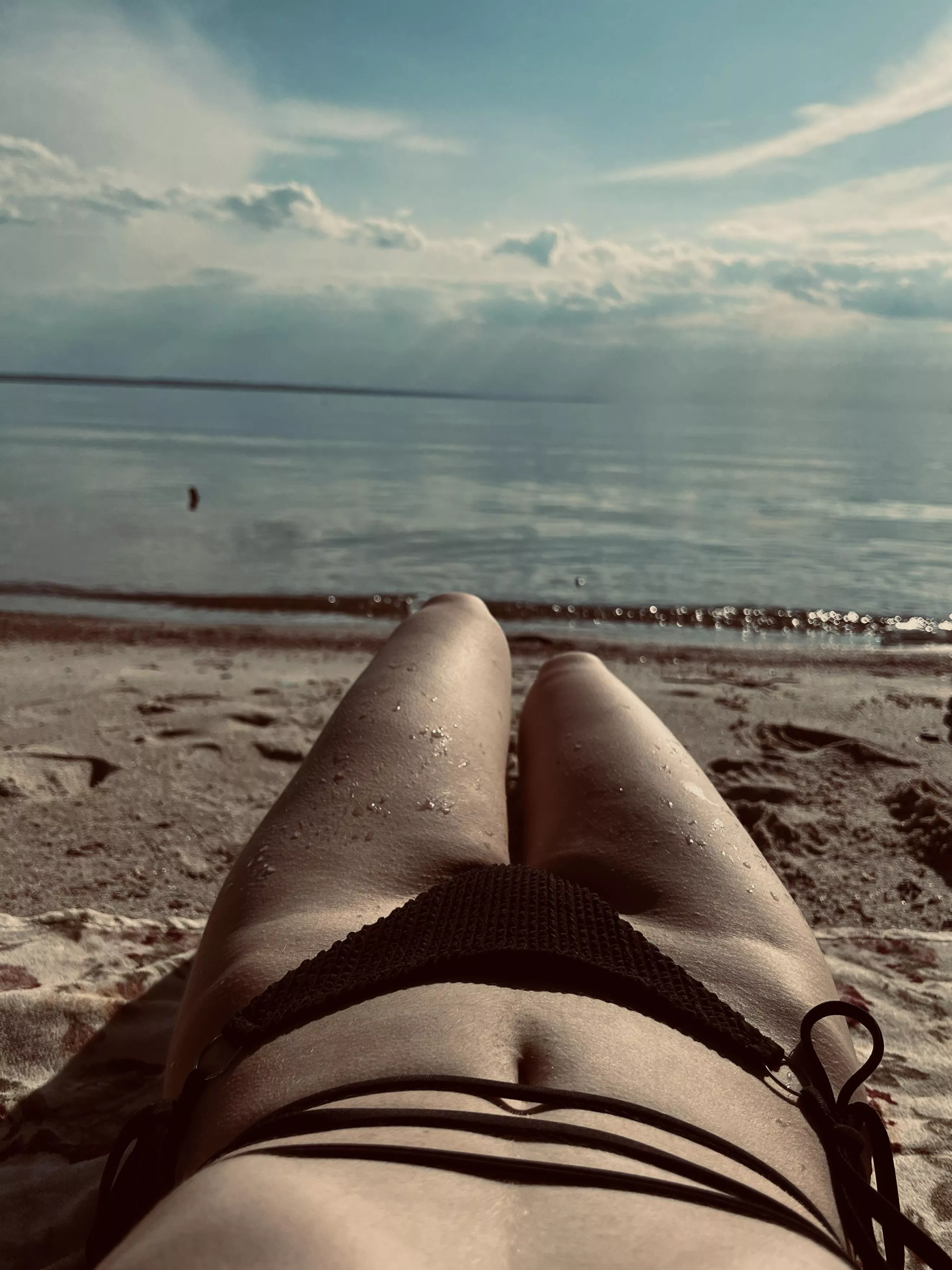 View of many words. posted by OrganicAbilitys