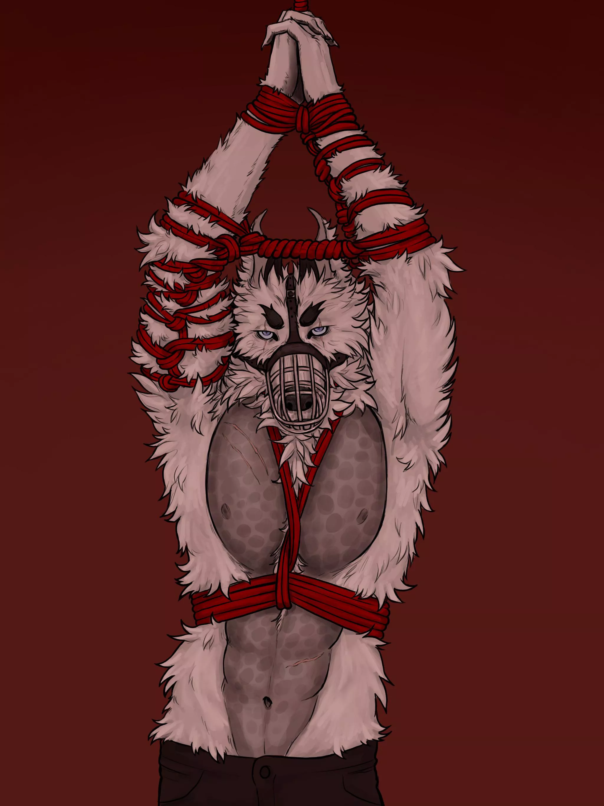  Where do we go from here? (DeederdeeArt) posted by bull7s