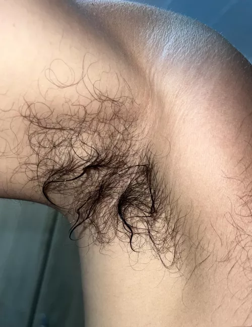Who wants to lick my sweaty pits ? by pits_addict