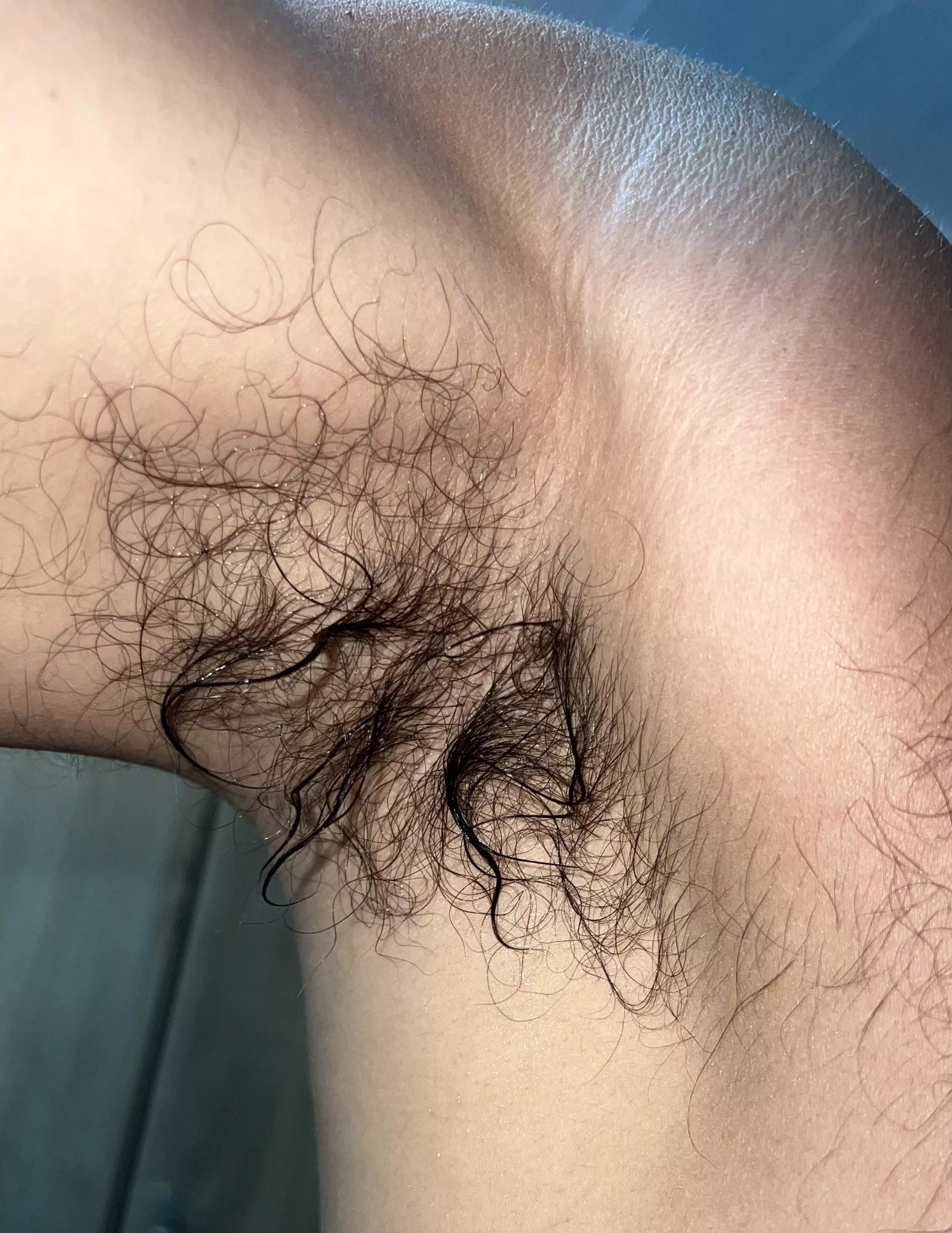 Who wants to lick my sweaty pits ? posted by pits_addict