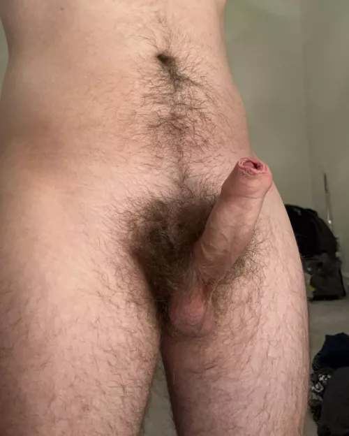 22 DC hairy uncut college cock, ripe after a long day by average_pit_guy