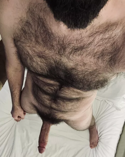 [44] bearded & boned by jerseyjaxoff