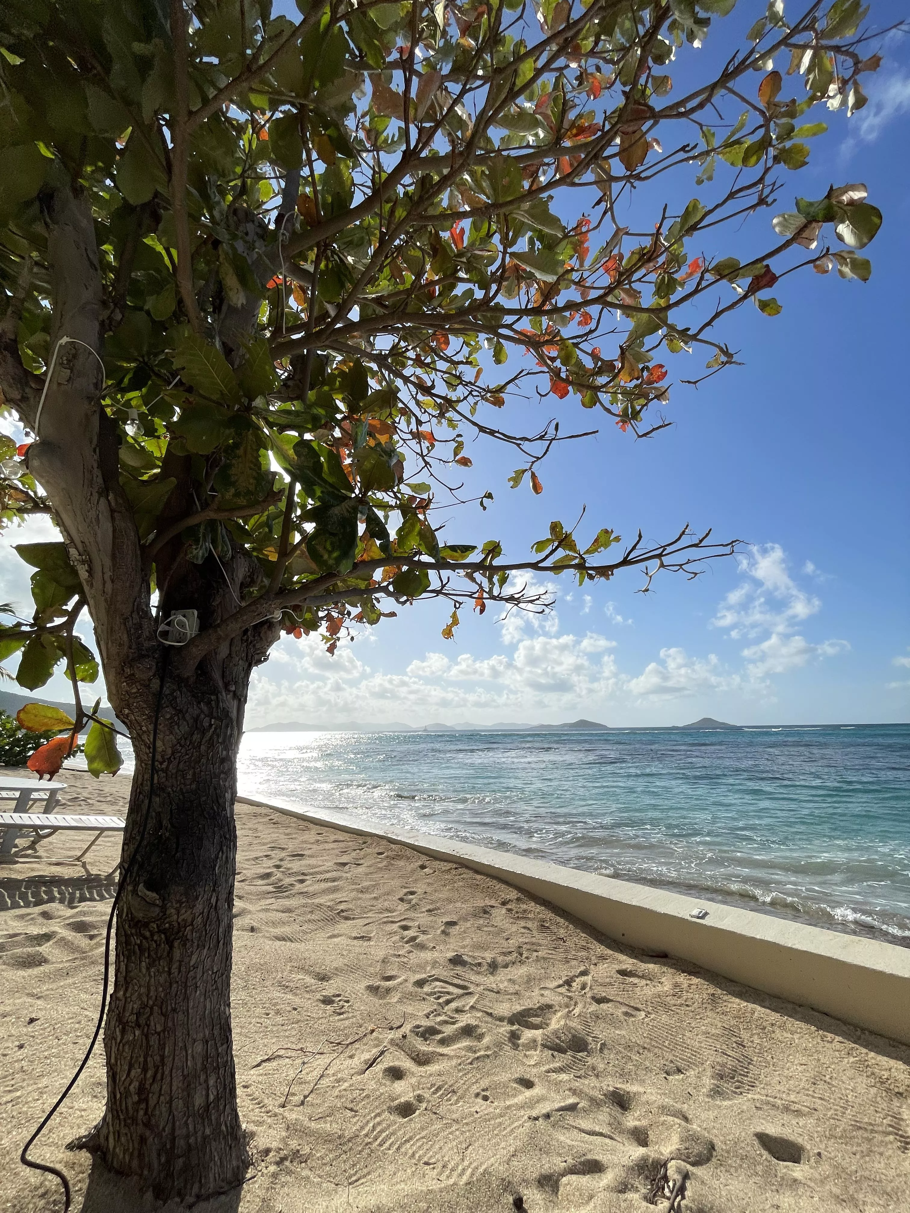 85F and sunny. Be here now. posted by pcbwes