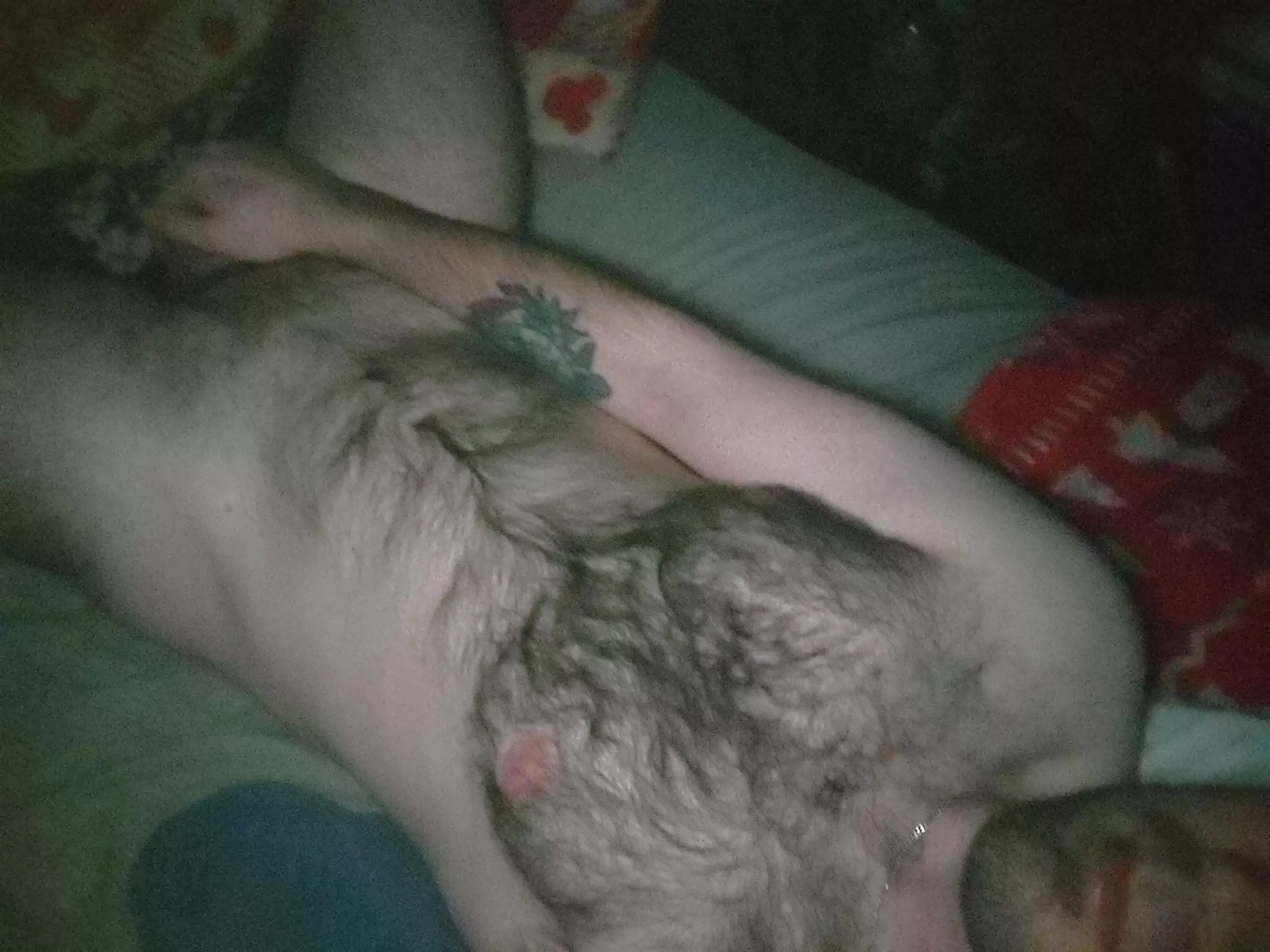 Am I hairy enough for here? posted by Sudden-Chip3794